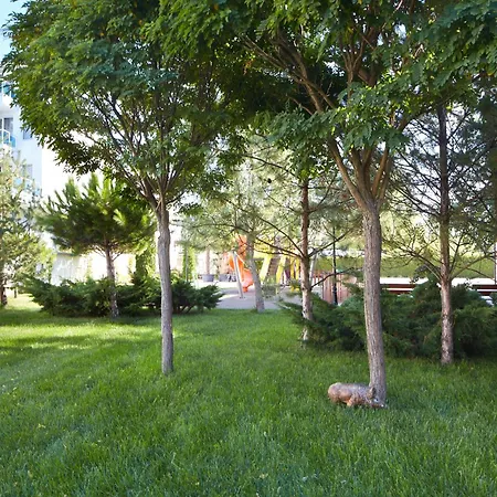 מלון דירות Complex Moskoyani